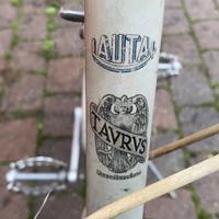 Tavrvs  lautal donna