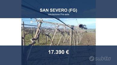 Immobile in asta di 11613 m² a San Paolo di Civita