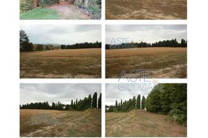 Terreno Agricolo Marsciano [A4307513]
