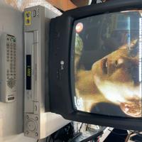 Videoregistratore SONY VHS + TV LG