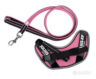 Pettorina K9 e guinzaglio cani piccola taglia