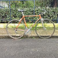 Bicicletta da corsa/citta