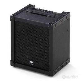 Amplificatore Basso/Chitarra