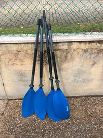 coppia remi canoa