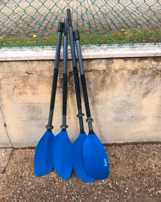 coppia remi canoa