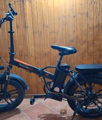 Bicicletta Elettrica