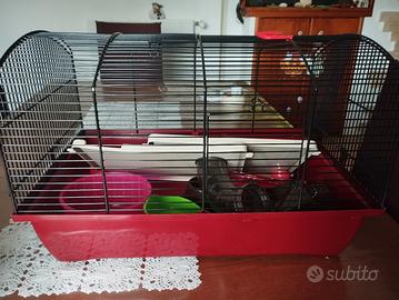 gabbia per criceti 