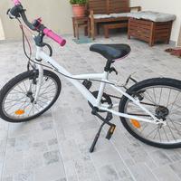 biciclette 20" 