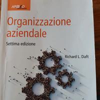 organizzazione aziendale Richard l. daft