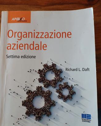 organizzazione aziendale Richard l. daft