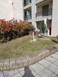Appartamento con giardino