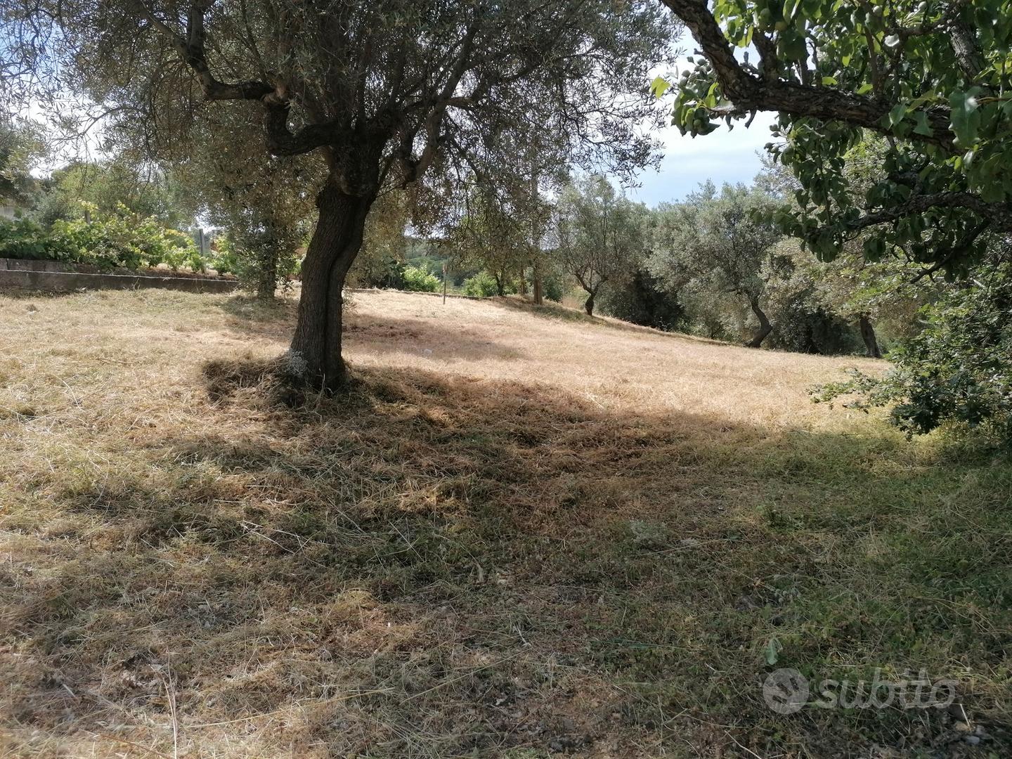 Terreno agricolo con possible costruzione - Vista 4