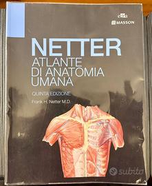 Atlante di Anatomia Umana Netter 5ª edizione