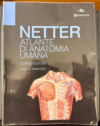 Atlante di Anatomia Umana Netter 5ª edizione