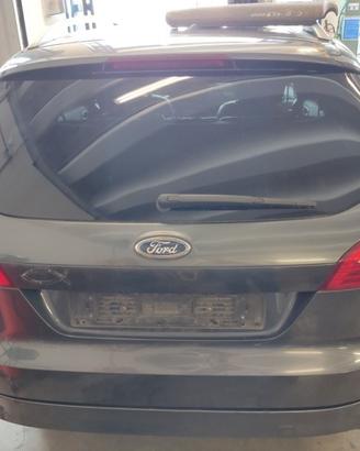 Portellone nudo FORD MONDEO del 2009