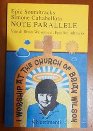 Note parallele. Vite di Brian Wilson 
