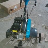 motozappa Bertolini 