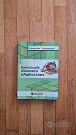 Esercizi svolti di algebra lineare e geometria