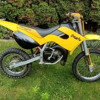 Minimoto Grizzly 10