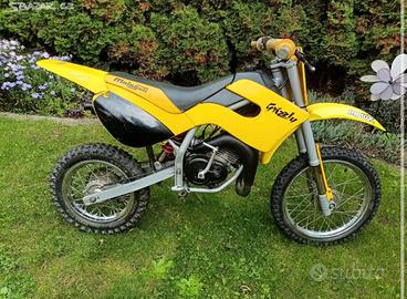 Minimoto Grizzly 10