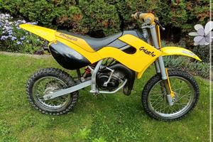 Minimoto Grizzly 10