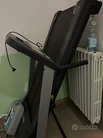 Tapirula buone condizioni