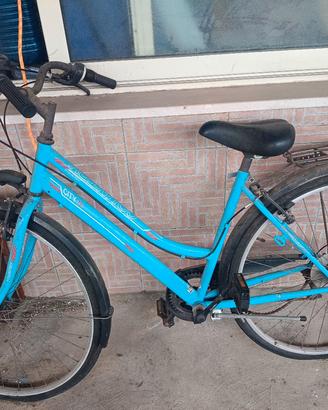 bici da passeggio 