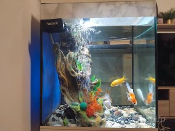 Acquario cubo Askoll