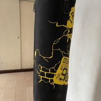 Sacco da box