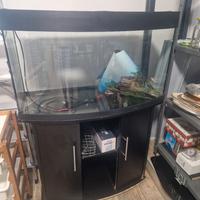 acquario 180l