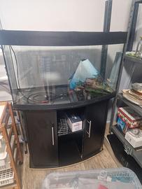 acquario 180l