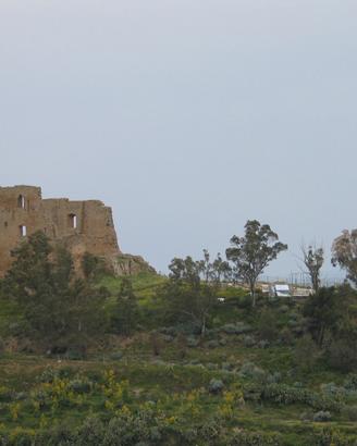 Rustico da ristrutturae con terreno attorno