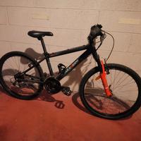 Bicicletta 24 pollici 