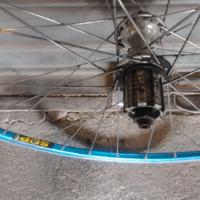 Cerchi Mavic  Open Pro Sup