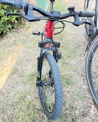 Bicicletta bambino 20