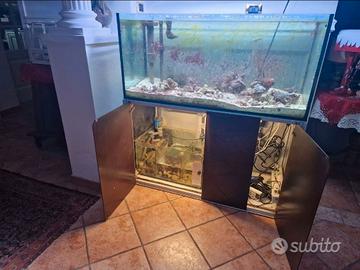 Acquario marino 300l