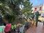 Immagine 19