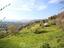 Immagine 19
