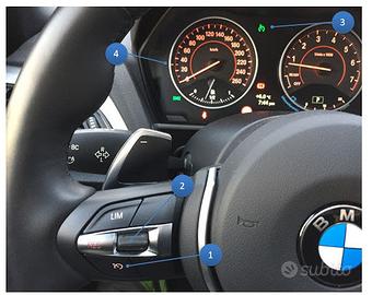 Bmw postmontaggio cruise control paddles original