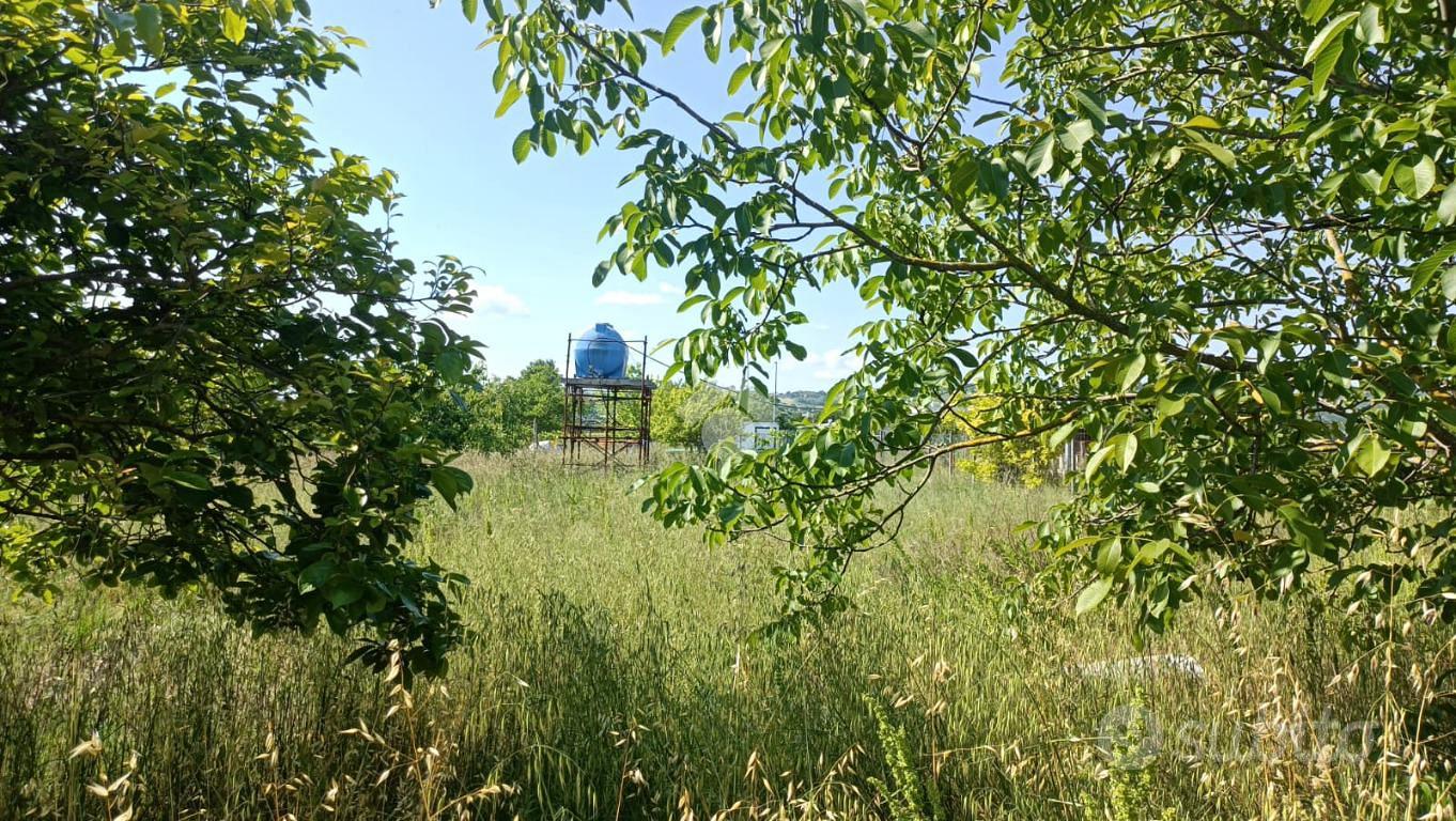 TER. AGRICOLO A LONGIANO - Altro