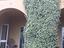 Immagine 21
