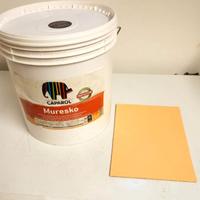 Pittura per esterno (4 vasi 250 mq)