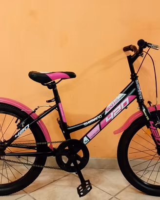 Bici bimba 20" Dino bikes perfetta 