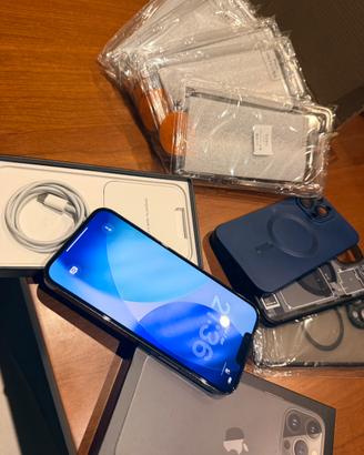 iPhone 13 Pro Max 256GB + accessori vari