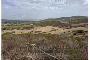 Terreno Agricolo Barrali [A4326102]