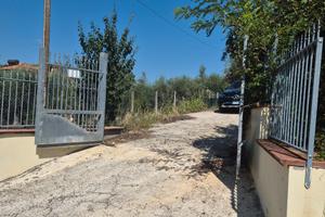 Terreno uso deposito 1200 mq