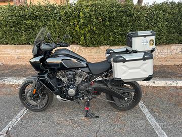 Harley davindson Pan America Special