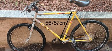 mtb 21 marce