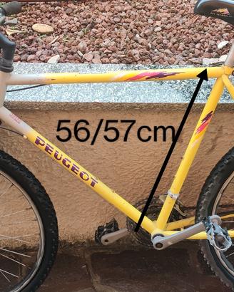 mtb 21 marce