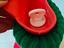 Immagine 3